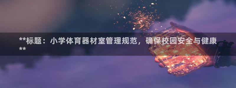 新城集团王大聪：**标题：小学体育器材室管理规范，确保校园安