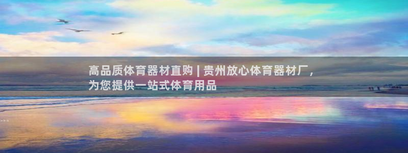 新城集团王大聪图片：高品质体育器材直购 | 贵州放心